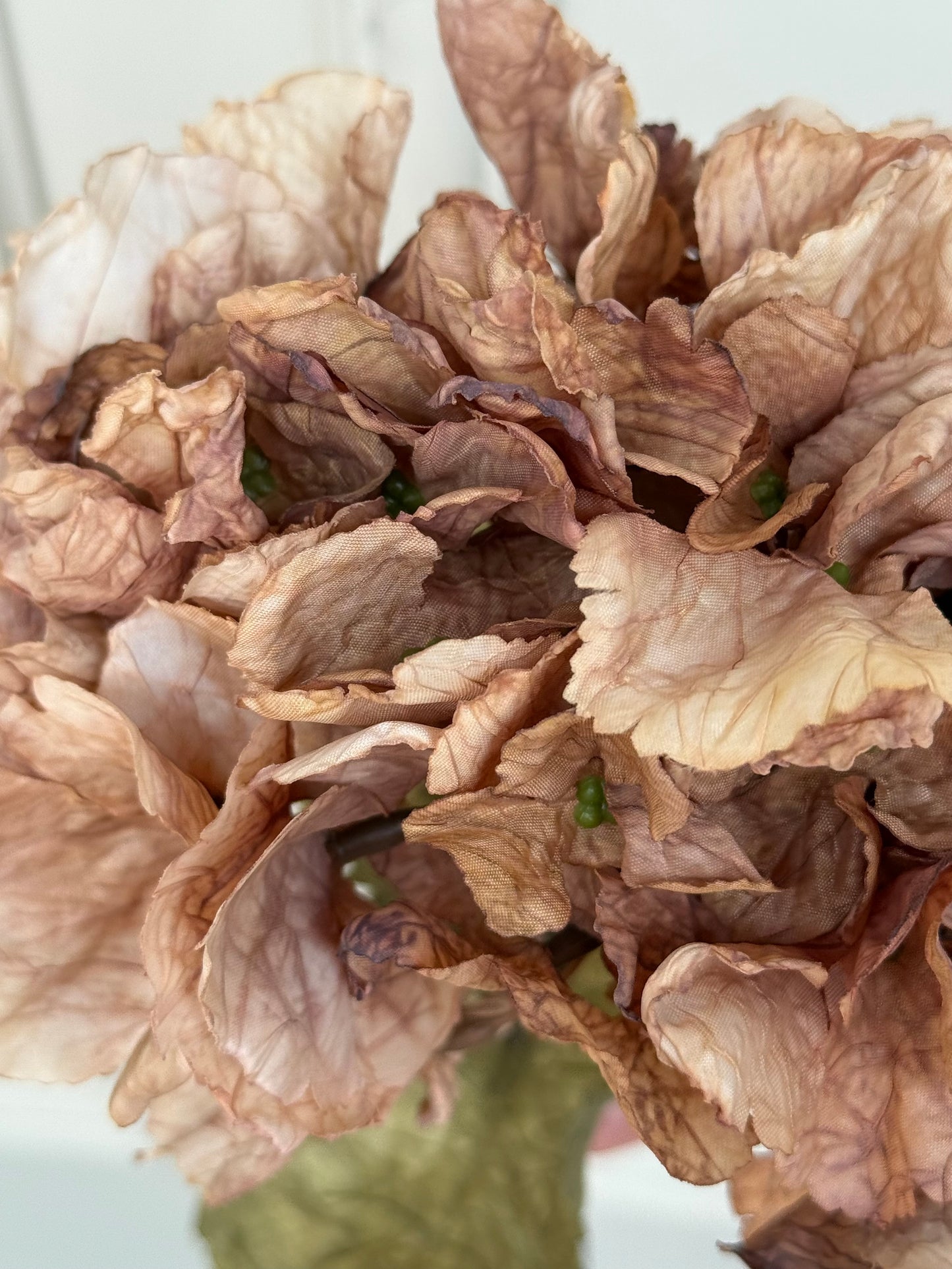 Cappuccino Dried Ruffle Faux Hydrangea