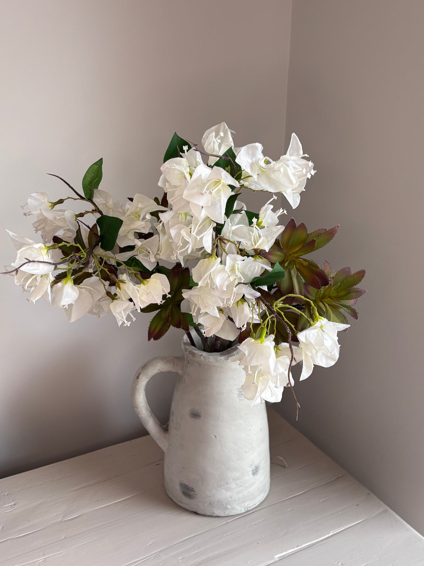 Bougainvillea and Madagascar Palm Bunch