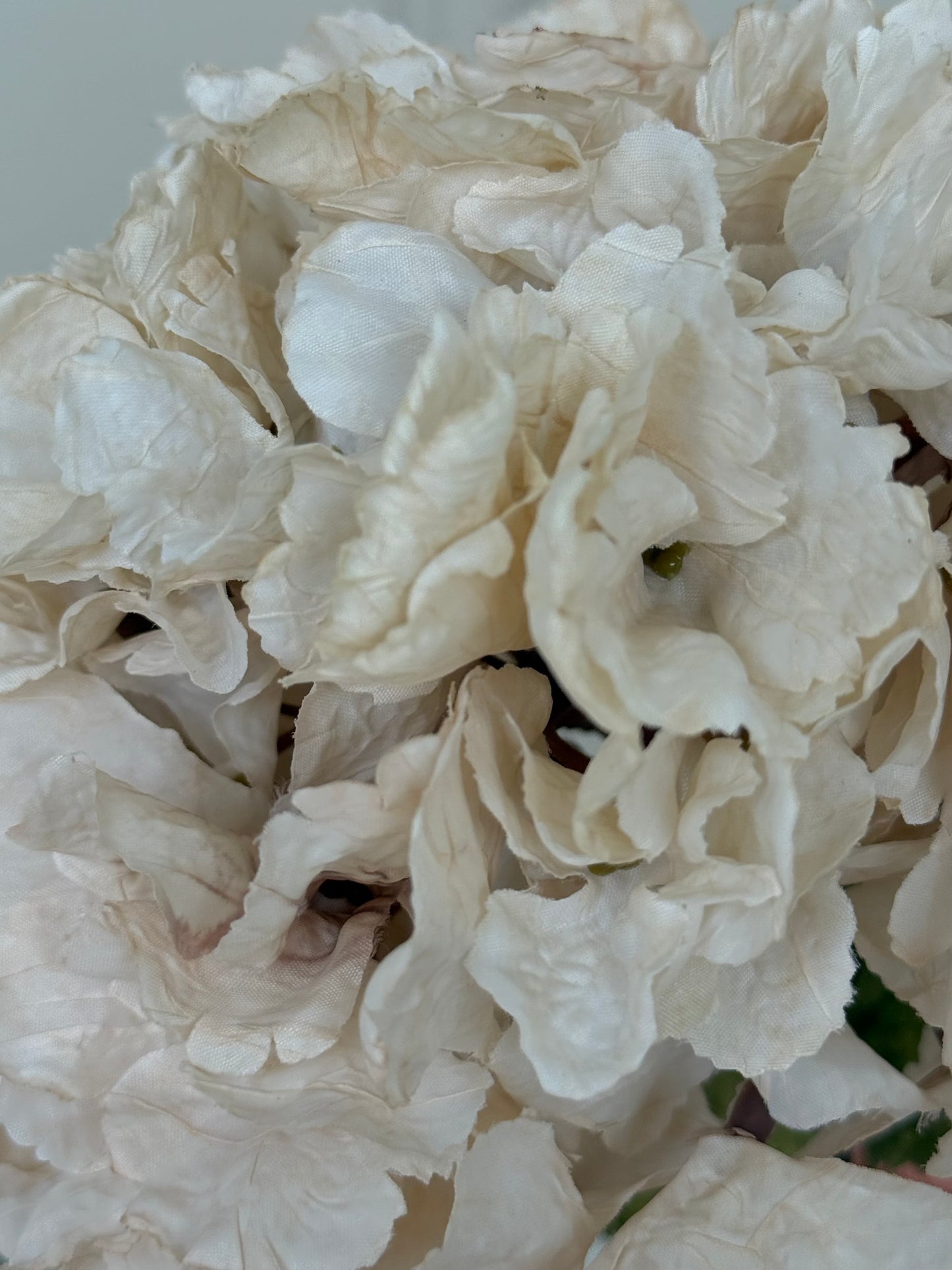 Oyster Dried Ruffle Faux Hydrangea