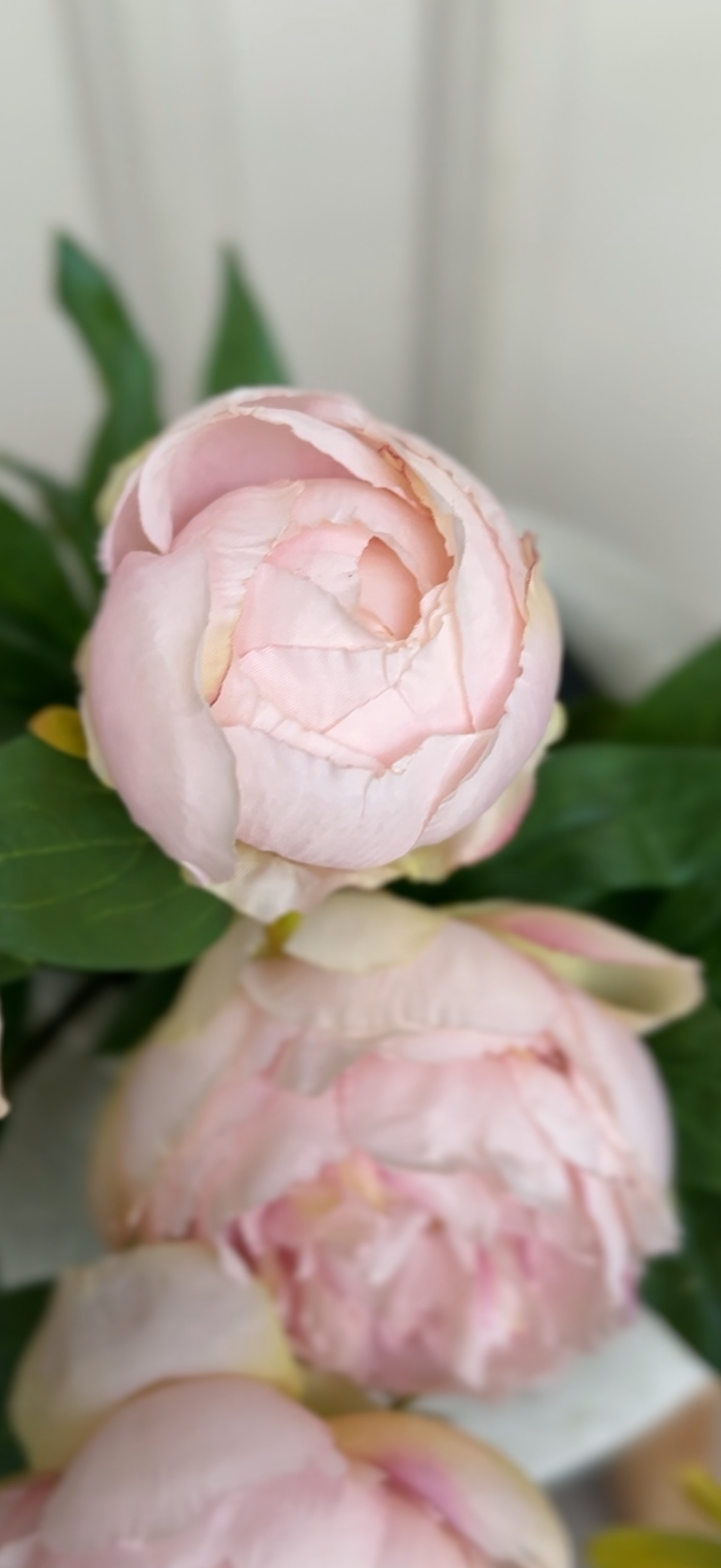 Peony Bunch