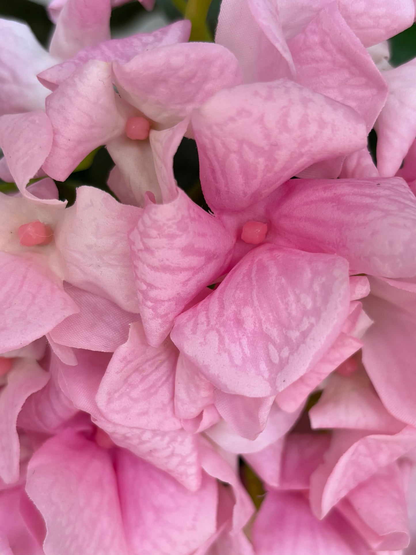 Pink Hydrangea Bunch