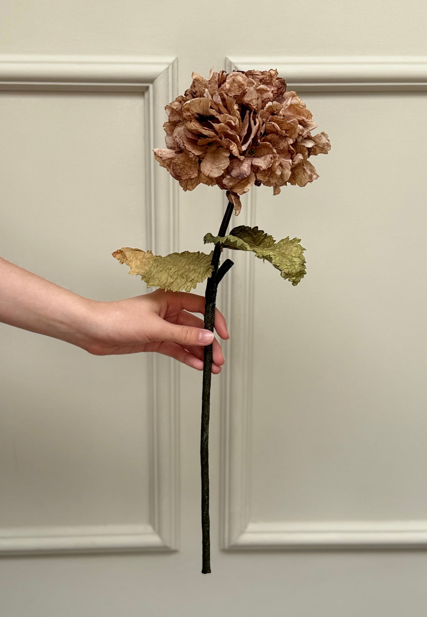 Cappuccino Dried Ruffle Faux Hydrangea