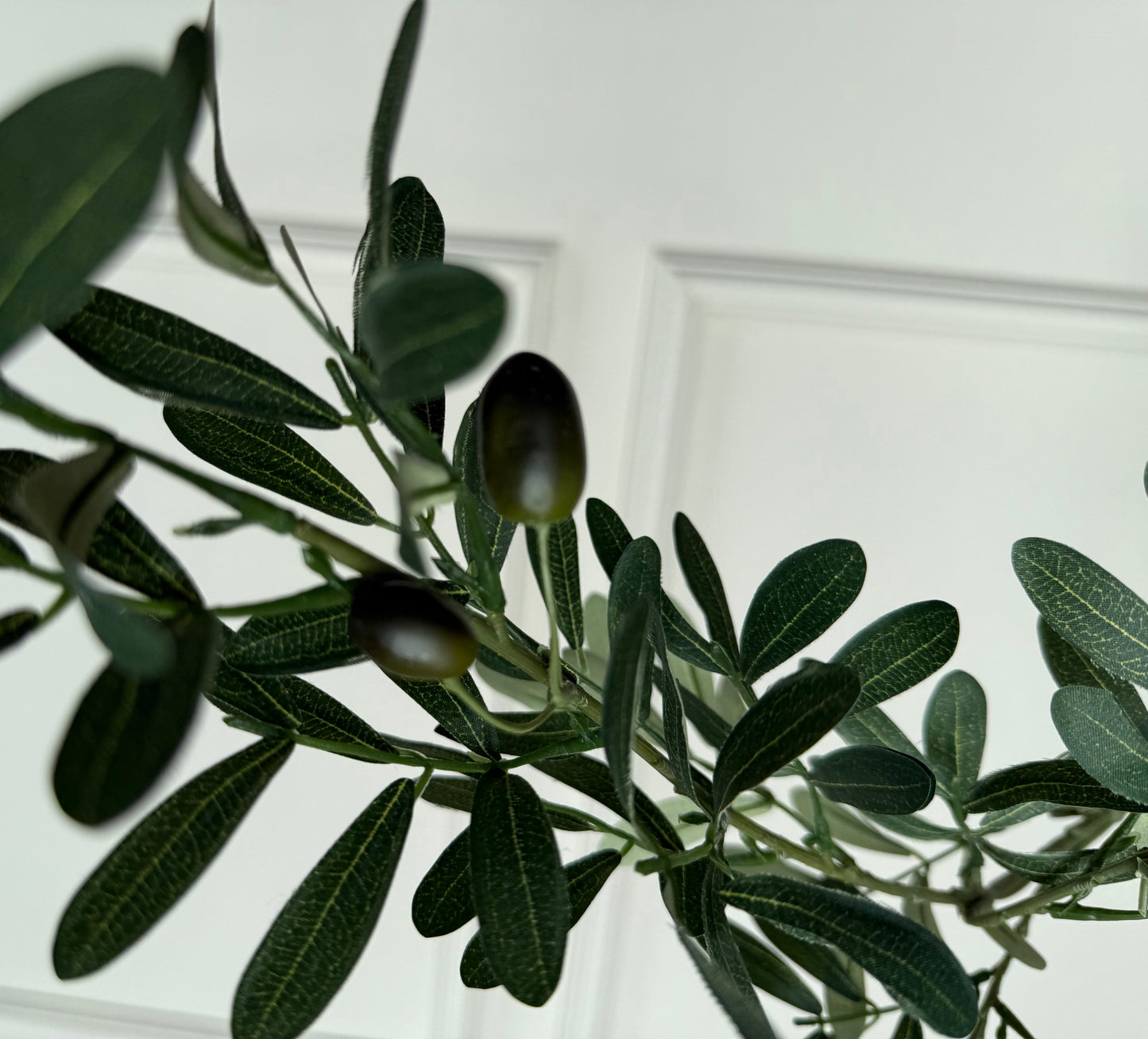 Faux Olive Stem