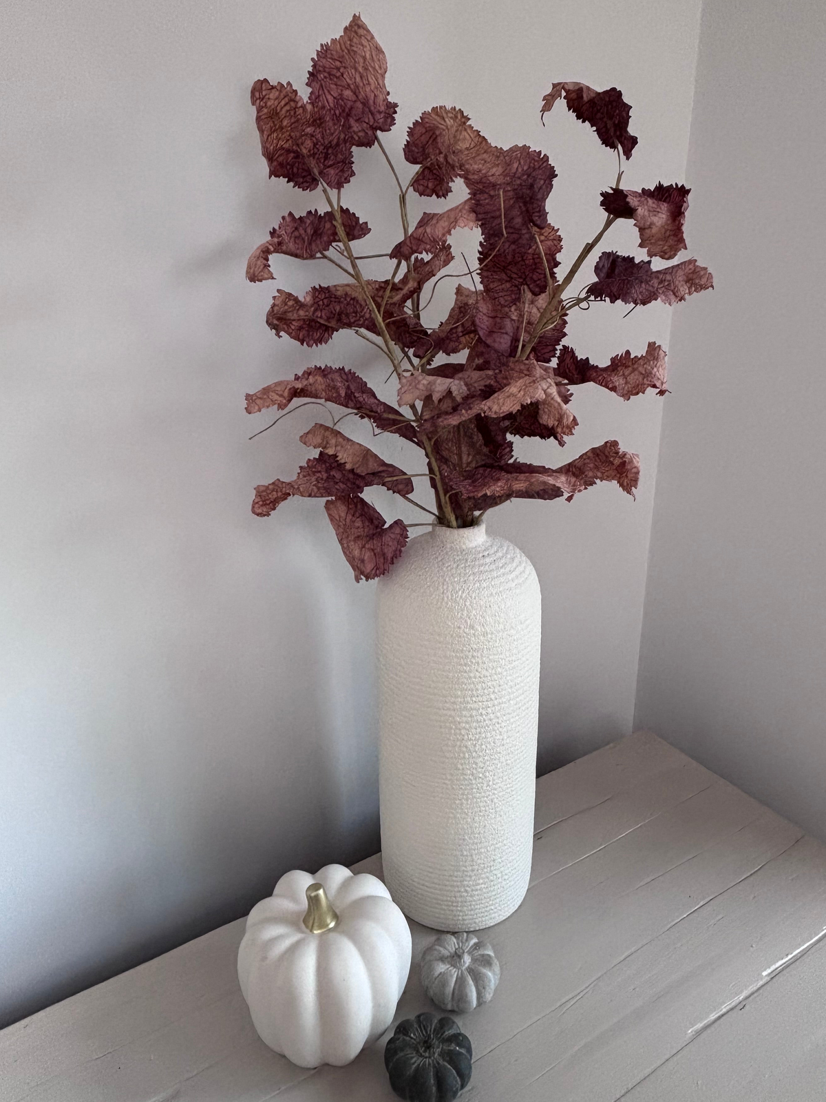 Mocha Branch - Bunch of 3 Stems