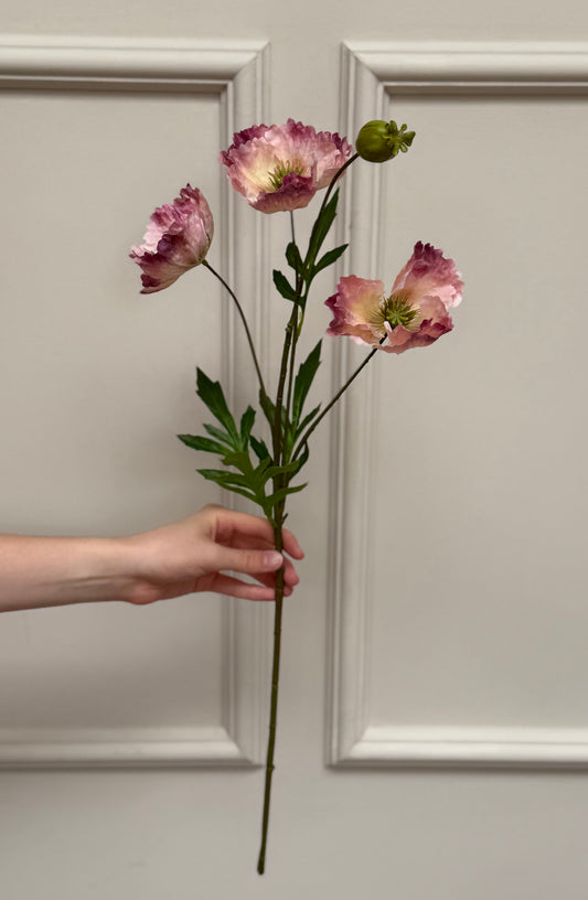 Faux Oriental Poppy - Blush