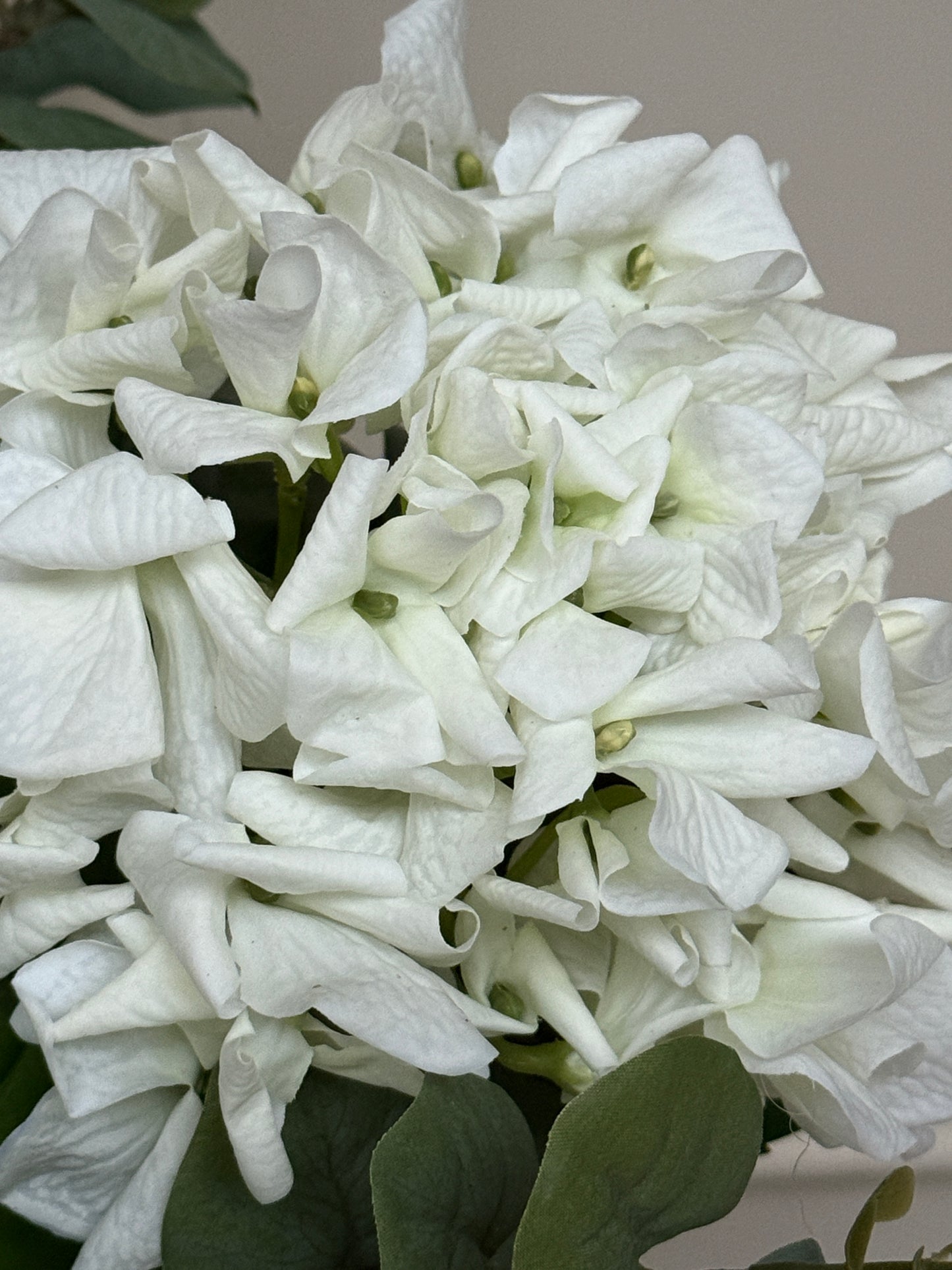 Hydrangea and Eucalyptus Bunch