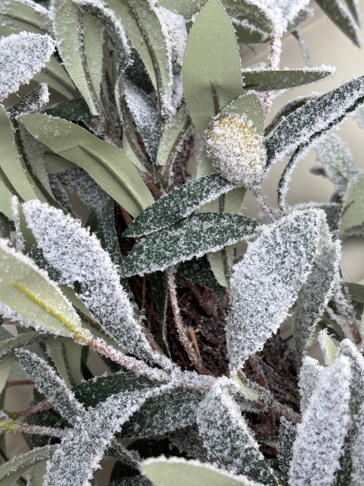 Frosted Olive Wreath