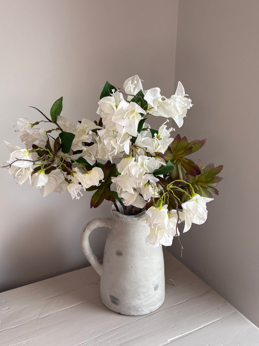 Bougainvillea and Madagascar Palm Bunch