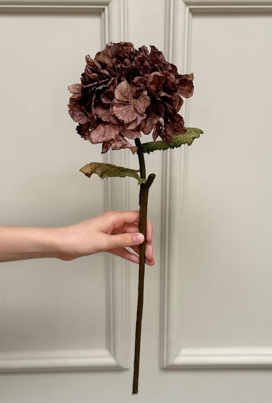 Mocha Dried Ruffle Faux Hydrangea