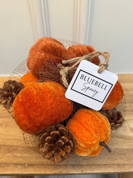 Pumpkins and Pinecones