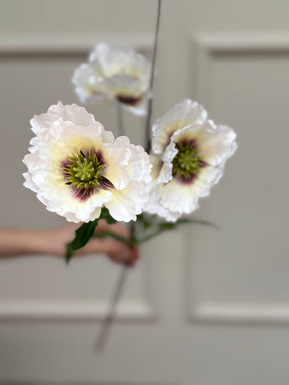 Faux Oriental Poppy - White