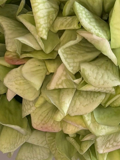 Green Real Touch Hydrangea Stem