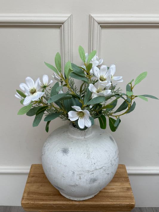 White Cosmos & Nobel Bunch