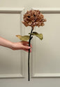 Cappuccino Dried Ruffle Faux Hydrangea