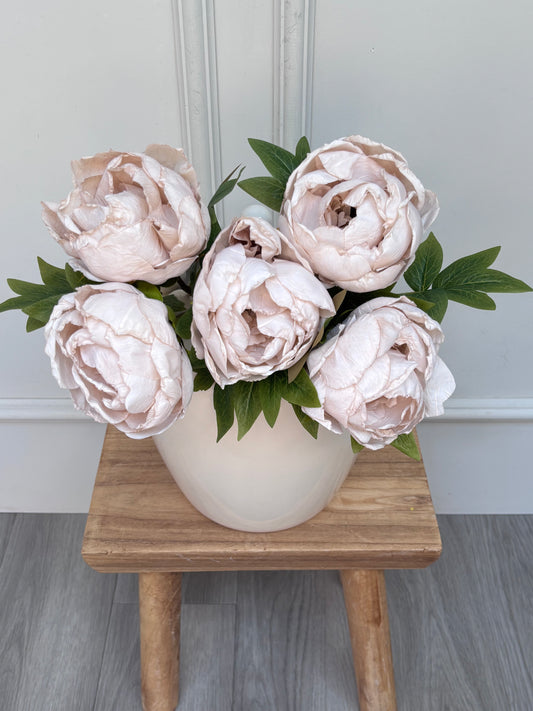 Dried Touch Oyster Closed Peony Bunch