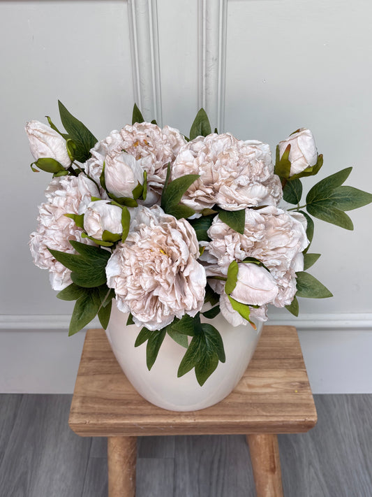 Dried Touch Oyster Open Peony Bunch