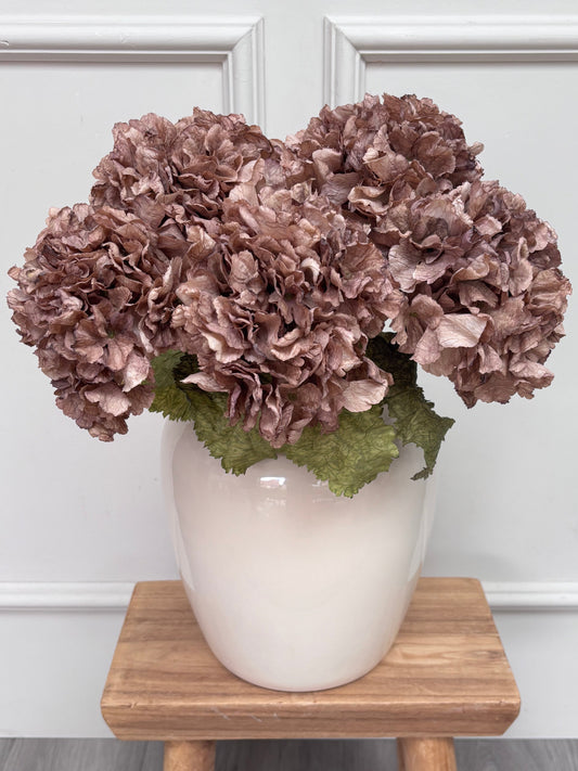 Cappuccino Dried Touch Hydrangea Bunch