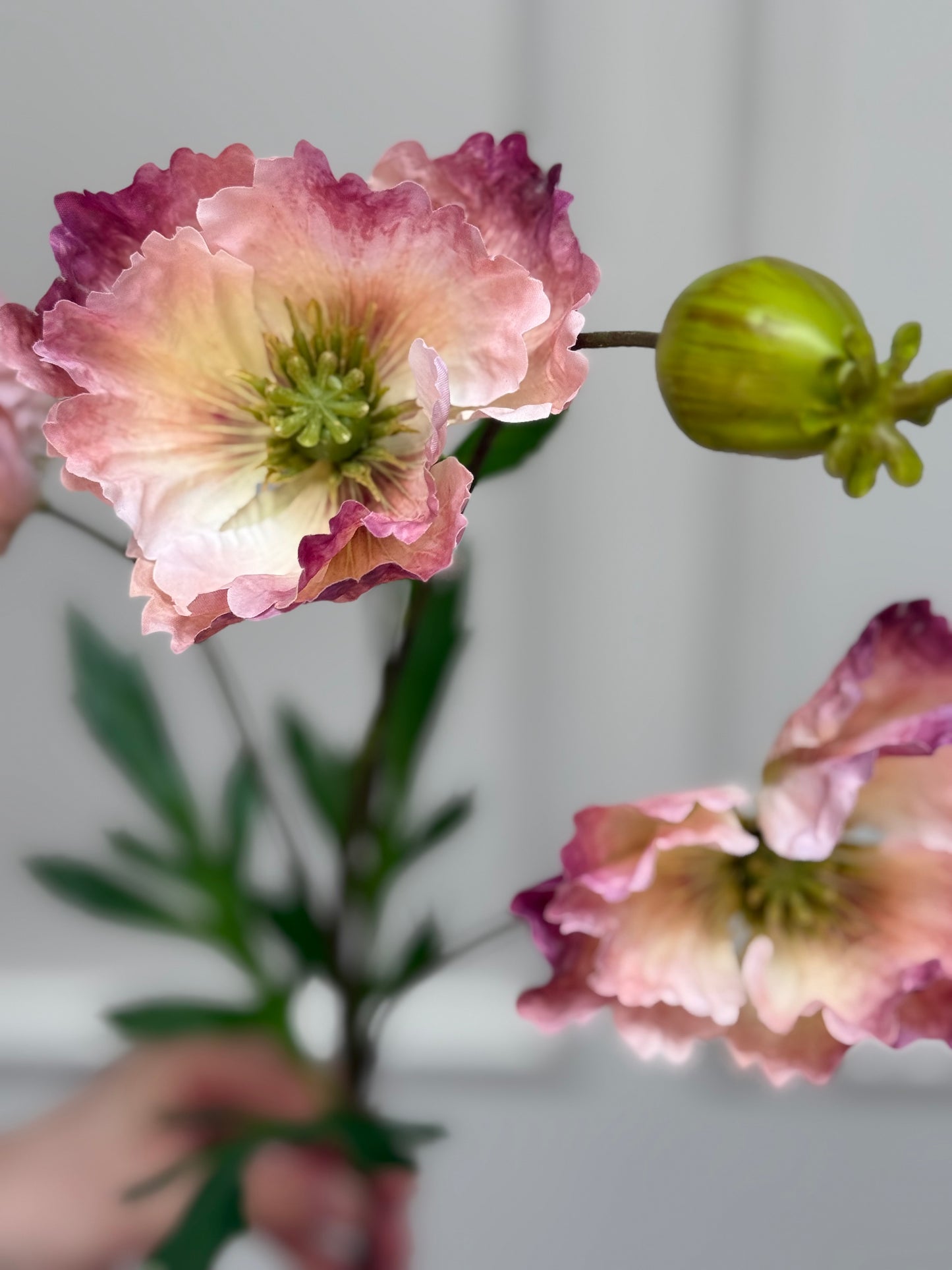 Faux Oriental Poppy - Blush