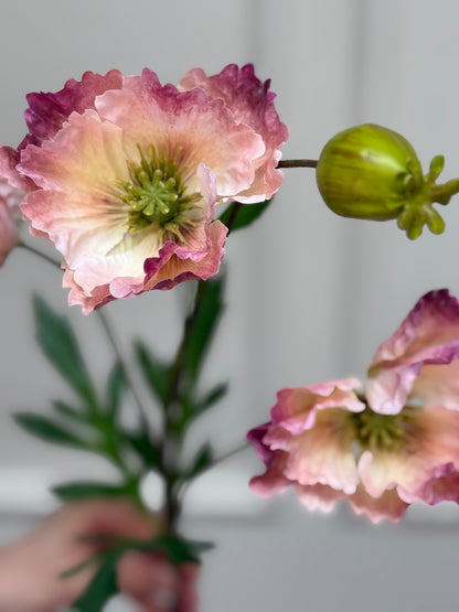 Faux Oriental Poppy - Blush
