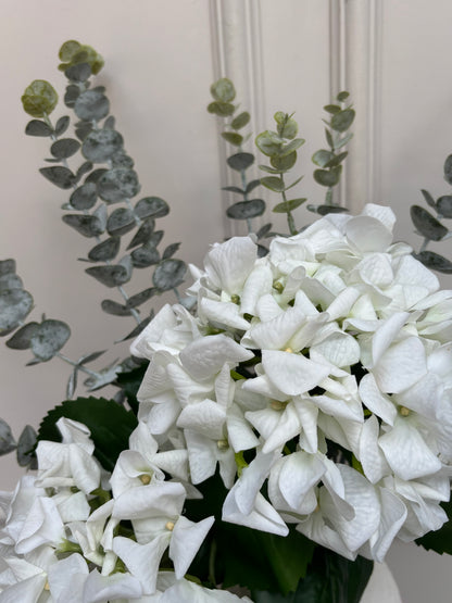White Hydrangea & Eucalyptus