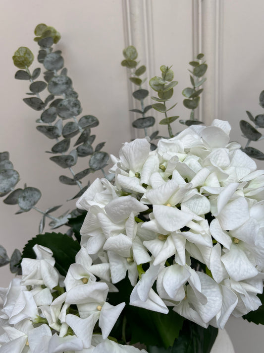 White Hydrangea & Eucalyptus