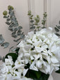 White Hydrangea & Eucalyptus