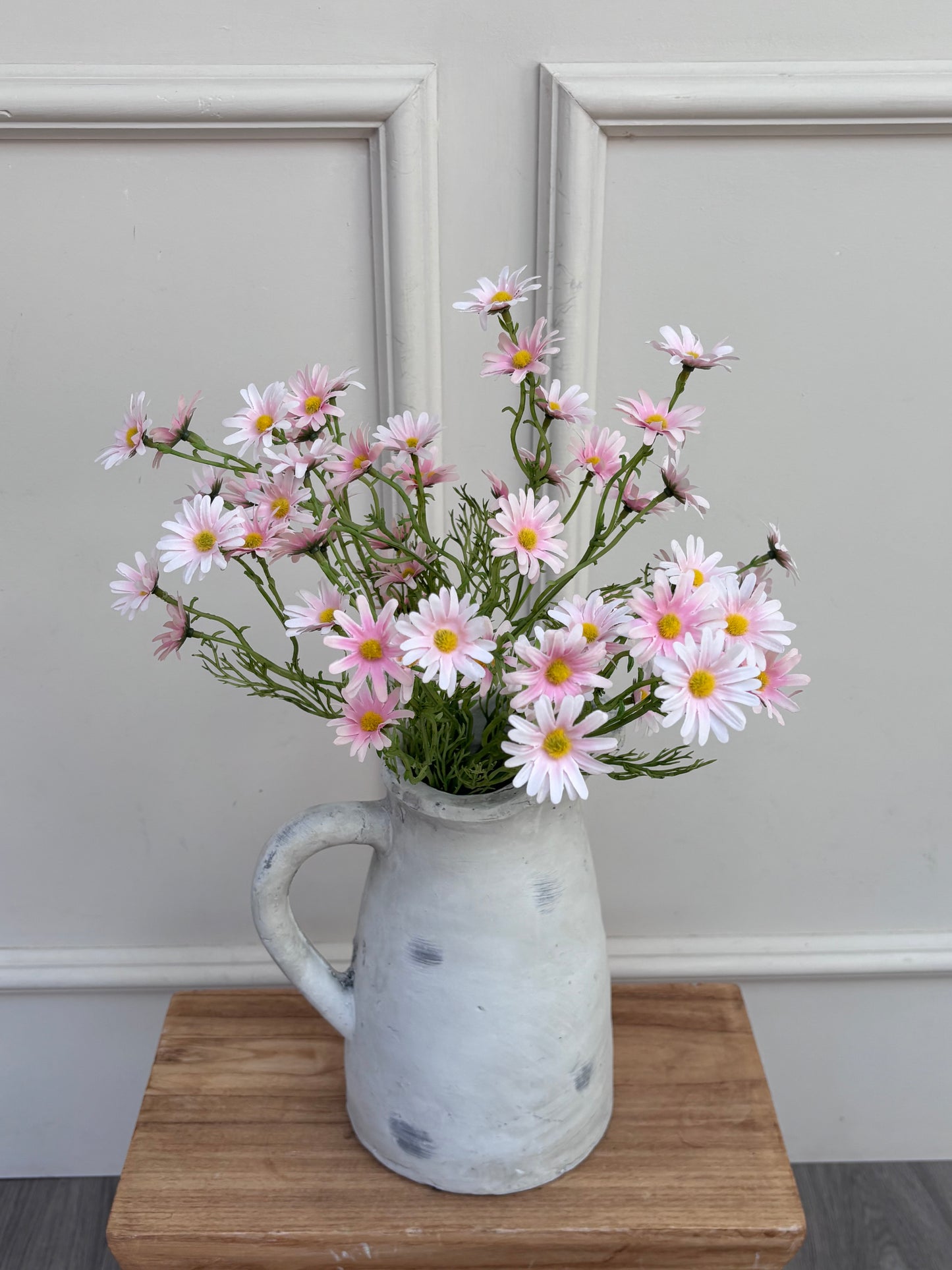 Pink Aster Daisy