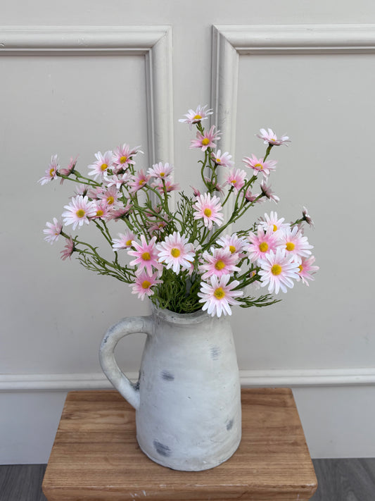 Pink Aster Daisy