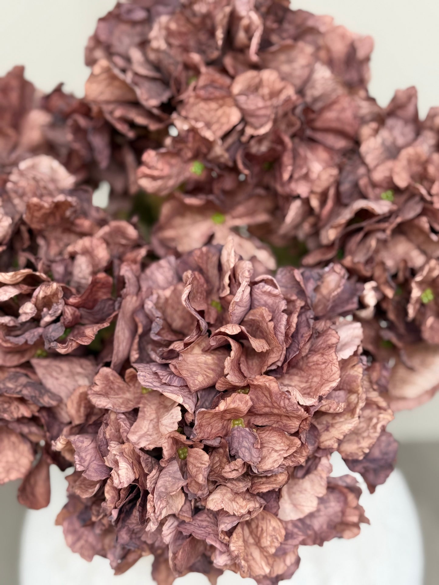 Mocha Dried Ruffle Faux Hydrangea