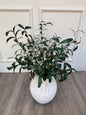 Faux Olive Stem - 3 Stems